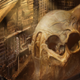 Illustration for article titled emPacific Rim/em concept art reveals what the townsfolk do with rotting Kaiju carcasses